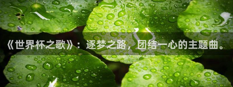 世界杯预选赛欧洲:《世界杯之歌》:逐梦之路,团结一心的主题曲。