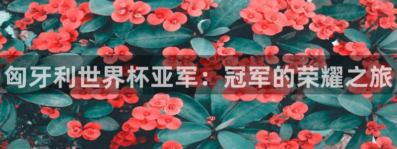 欧洲区世界杯预选赛:匈牙利世界杯亚军:冠军的荣耀之旅