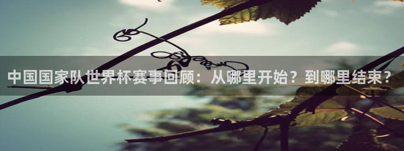 世界杯预赛赛程：中国国家队世界杯赛事回顾：从哪里开始？到哪里结束？