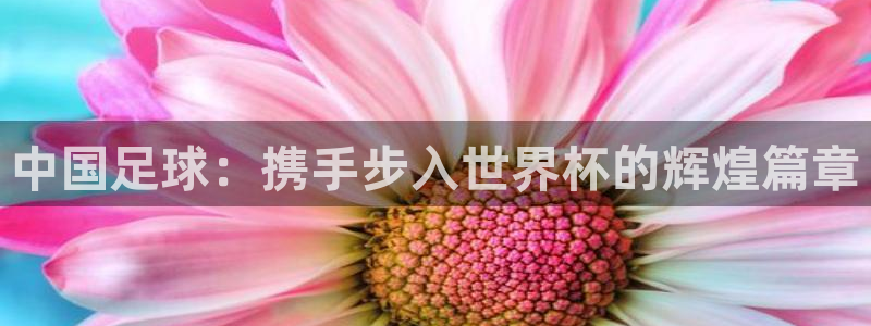 世界杯赛程表：中国足球：携手步入世界杯的辉煌篇章