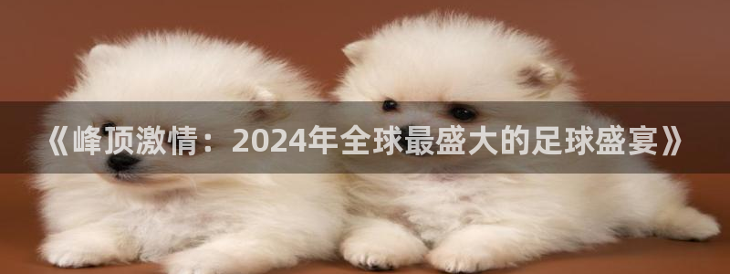 世界杯预选赛亚洲区赛程：《峰顶激情：2024年全球最盛大的足球盛宴》