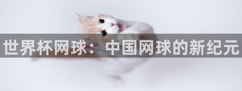 美国世界杯：世界杯网球：中国网球的新纪元