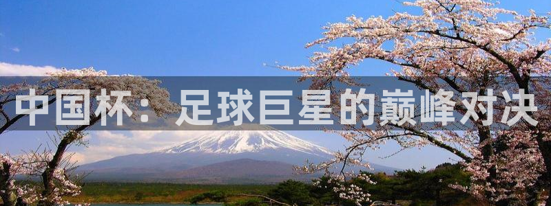 2026世界杯南美区积分榜：中国杯：足球巨星的巅峰对决