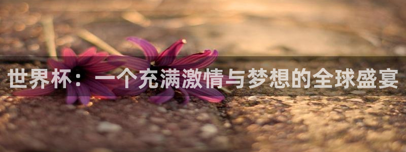 世界杯预选赛排名：世界杯：一个充满激情与梦想的全球盛宴