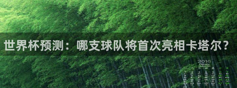 预选赛世界杯：世界杯预测：哪支球队将首次亮相卡塔尔？