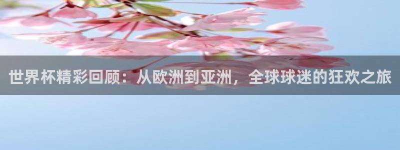 2026男足世界杯：世界杯精彩回顾：从欧洲到亚洲，全球球迷的狂欢之旅
